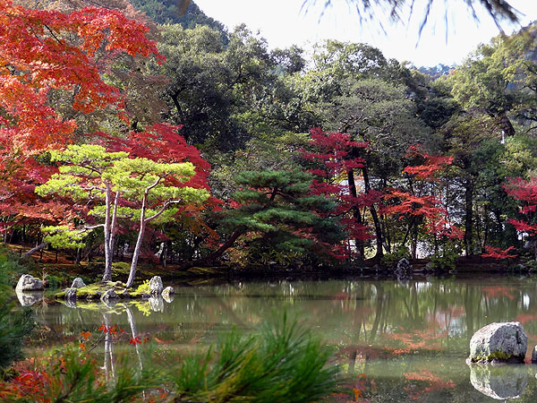 121116_103 Japon - L'automne à Kyôto - Le Kinkaku-ji ou le Temple du Pavillon d'or 
