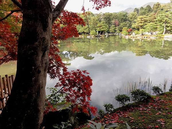 121116_111Japon - L'automne à Kyôto - Le Kinkaku-ji ou le Temple du Pavillon d'or