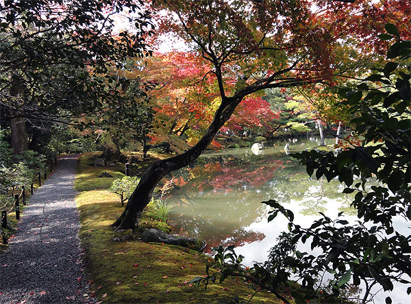 121116_125 Japon - L'automne à Kyôto - Le Kinkaku-ji ou le Temple du Pavillon d'or