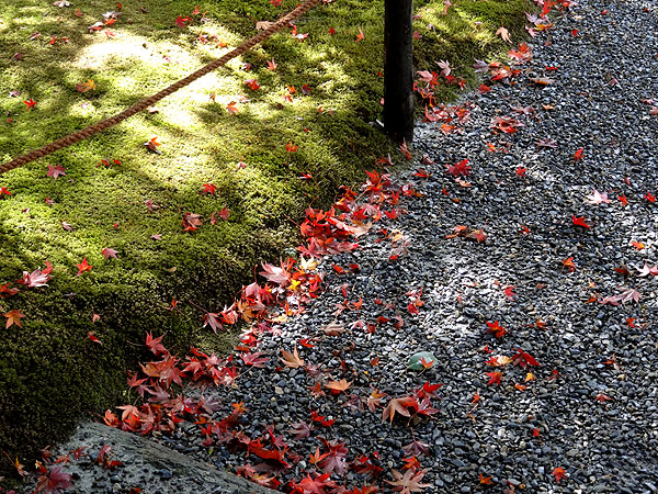 121116_131 Japon - L'automne à Kyôto - Le Kinkaku-ji ou le Temple du Pavillon d'or 