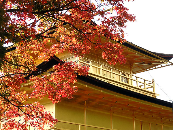 121116_215 Japon - L'automne à Kyôto - Le Kinkaku-ji ou le Temple du Pavillon d'or