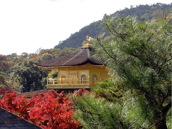 121116_276 Japon - L'automne à Kyôto - Le Kinkaku-ji ou le Temple du Pavillon d'or