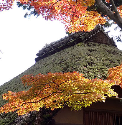 121116_287 Japon - L'automne à Kyôto - Le Kinkakuji ou le Temple du Pavillon d'or