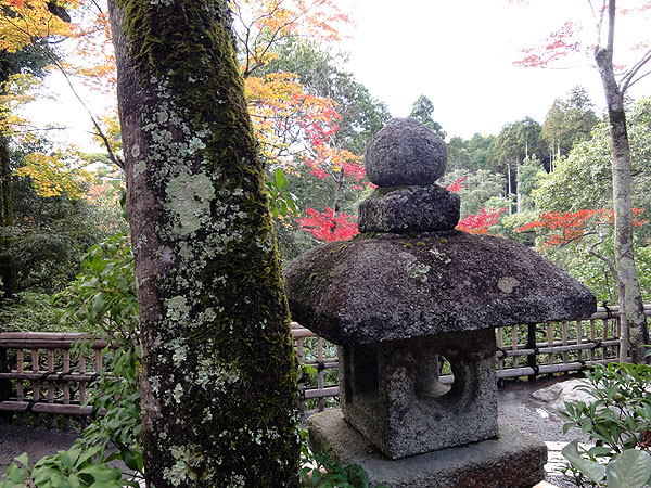 121116_300 121116_316 121116_299 Japon - L'automne à Kyôto - Le Kinkakuji ou le Temple du Pavillon d'or