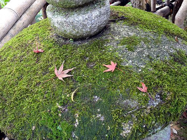 121116_308 121116_304 Japon - L'automne à Kyôto - Le Kinkakuji ou le Temple du Pavillon d'or 