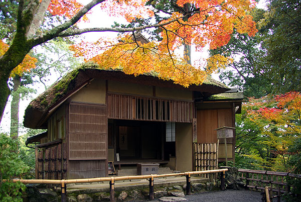 121116_877 Japon - L'automne à Kyôto - Le Kinkakuji ou le Temple du Pavillon d'or