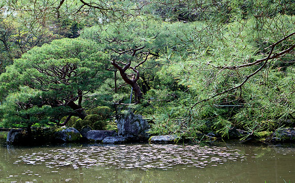 140408_187 Japon – Printemps 2014 – Kyôto – Les jardins du Heian Jingû - III - 