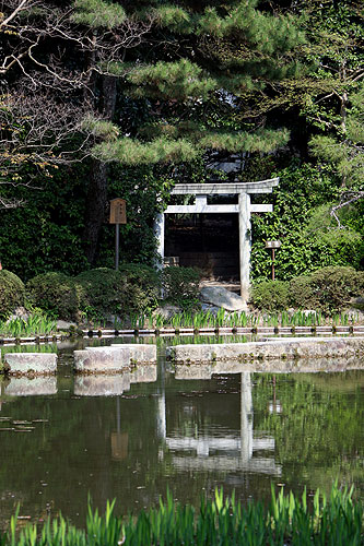 140408_231Japon – Printemps 2014 – Kyôto – Les jardins du Heian Jingû - III -