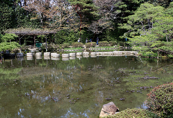 140408_238 Japon – Printemps 2014 – Kyôto – Les jardins du Heian Jingû - III -