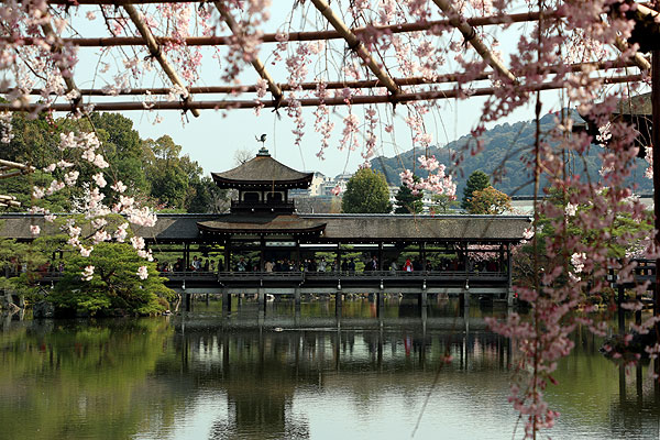 140408_243 Japon – Printemps 2014 – Kyôto – Les jardins du Heian Jingû - III -