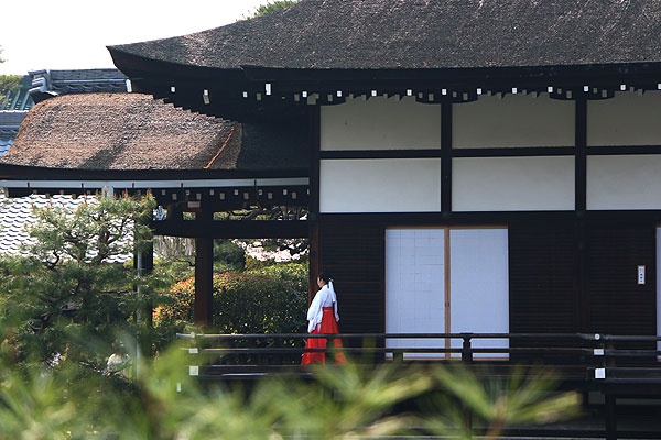 140408_312 Japon – Printemps 2014 – Kyôto – Les jardins du Heian Jingû - III -