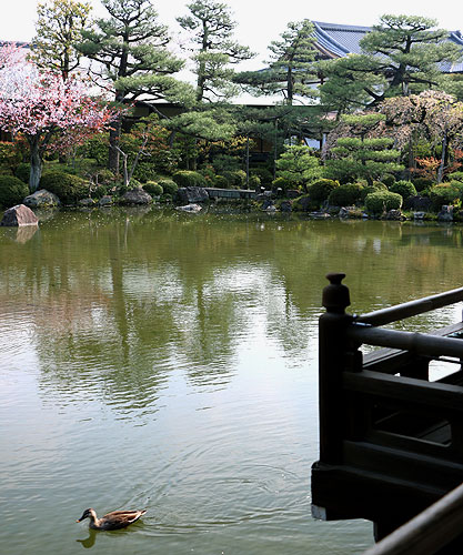 140408_337 Japon – Printemps 2014 – Kyôto – Les jardins du Heian Jingû - III -