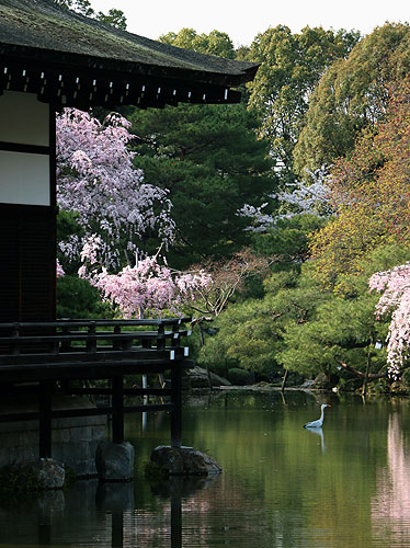 140408_353 Japon – Printemps 2014 – Kyôto – Les jardins du Heian Jingû - III -