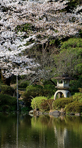 140408_368 Japon – Printemps 2014 – Kyôto – Les jardins du Heian Jingû - III -