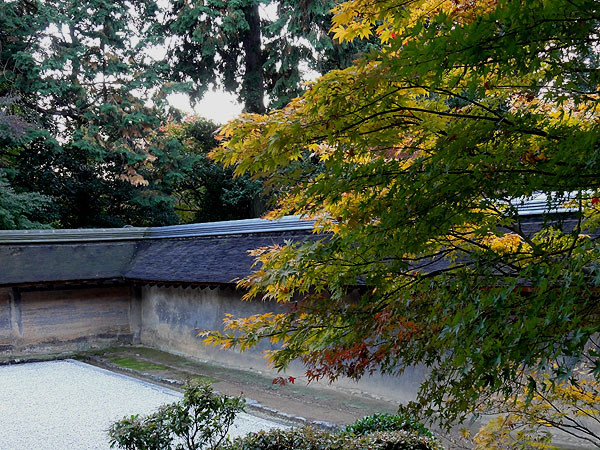 121116_539 Japon – L'automne à Kyôto –  Le Ryôanji - II - Le Jardin Karesansui
