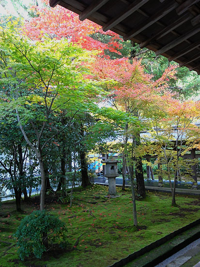 121116_556 Japon – L'automne à Kyôto –  Le Ryôanji - III - Autour du jardin Karesansui
