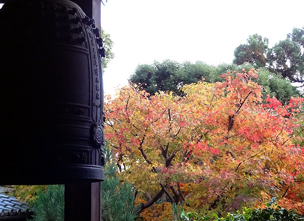 121116_598 Japon – L'automne à Kyôto –  Le Ryôanji - III - Autour du jardin Karesansui