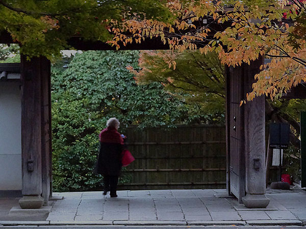 121116_678 Japon – L'automne à Kyôto –  Le Ryôanji - IV -  Kôyô no jiki