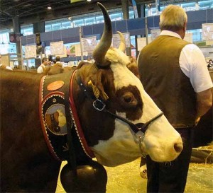 salon agriculture 2010