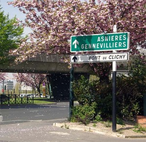 cerisiers du Japon à Paris